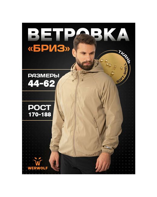 Werwolf Куртка куртки от размер 46/170-176 sand