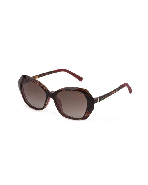 Sting Солнцезащитные очки 377 коричневые