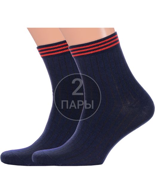 Красная Ветка Комплект носков мужских 2-С-2038 синих