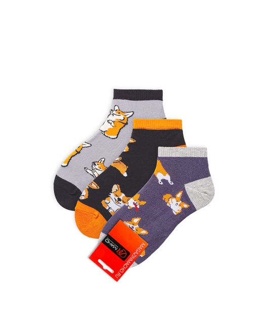 Мачо Комплект носков унисекс коргиСП разноцветных