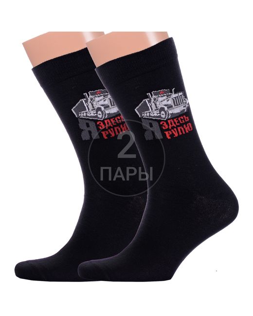 Красная Ветка Комплект носков мужских 2-С-2068 черных