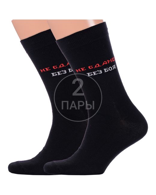 Красная Ветка Комплект носков мужских 2-С-1356 черных 2 пары