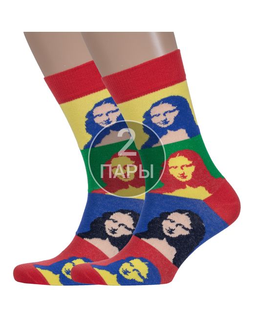 Борисоглебский трикотаж Комплект носков мужских 2-4С13 разноцветных 2 пары