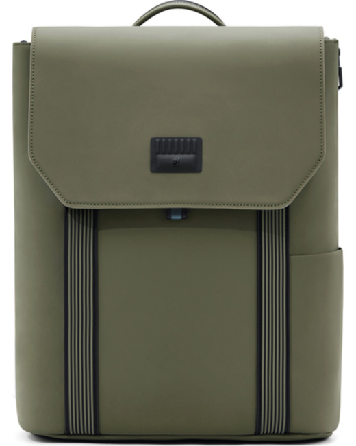 Ninetygo Рюкзак для ноутбука унисекс E-USING Classic Backpack 15.6 green