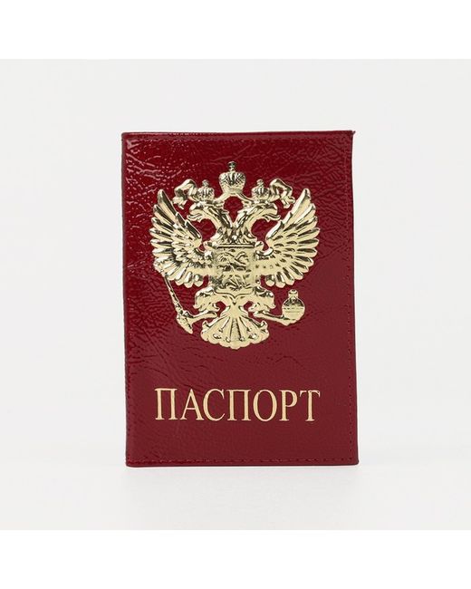 Sima-land Обложка для паспорта женская