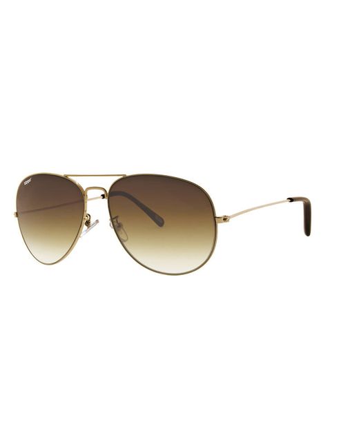 Zippo Солнцезащитные очки коричневые
