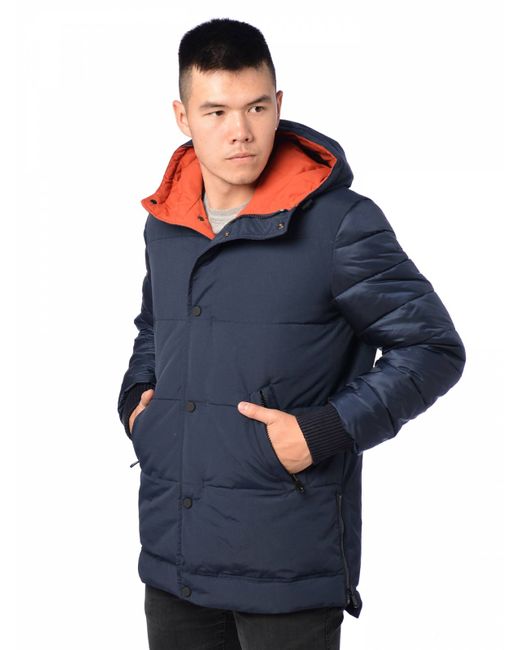 Fanfaroni Зимняя куртка 3380