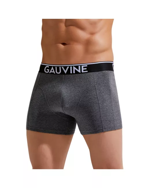 Gauvine Трусы 2XL 1 штука