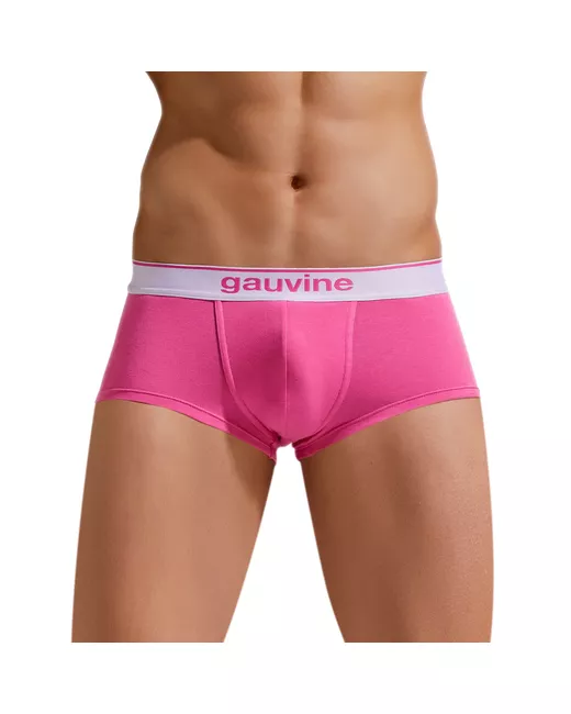 Gauvine Трусы 1 штука