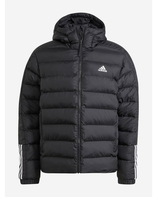 Adidas Куртка утепленная Itavic