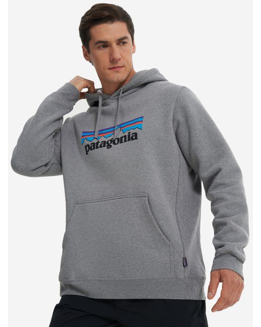 Patagonia Худи Logo Uprisal