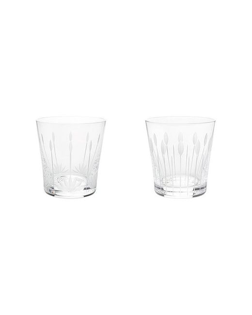 Lalique Набор из двух стаканов для виски Blossom-Buds
