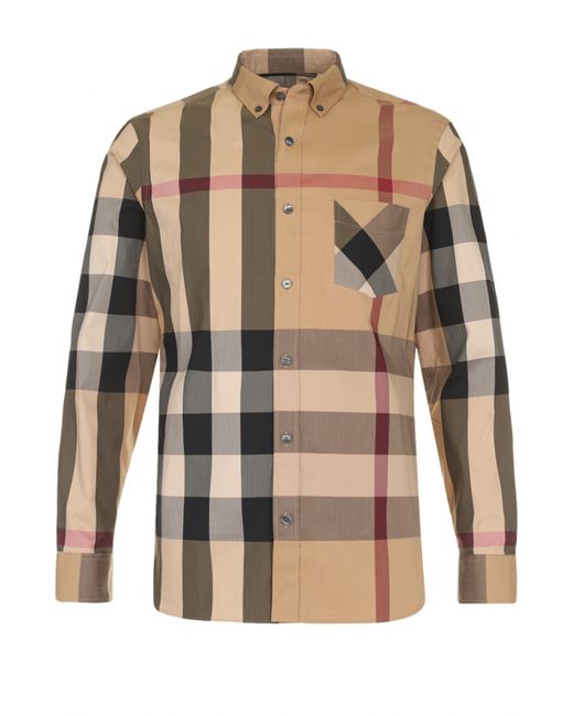 Burberry Хлопковая рубашка с воротником button down