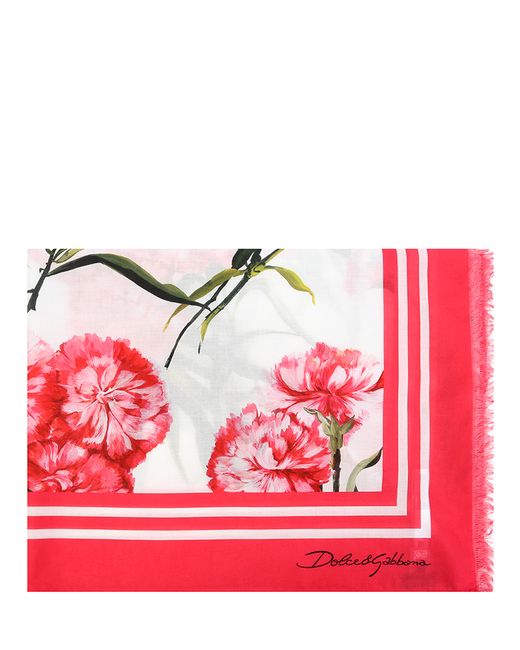 Dolce & Gabbana Палантин хлопковый с принтом