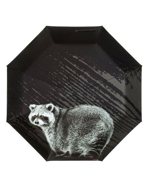 RainLab Зонт Ani-107 Raccoon