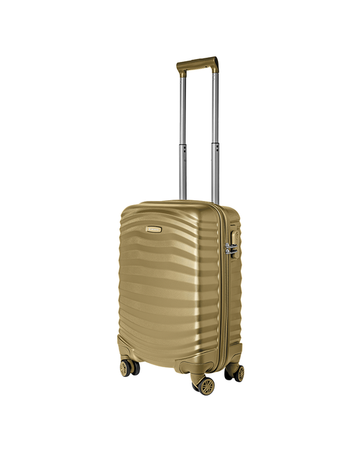 Delvento Турецкий чемодан модель Lessie Bronze 59 см 35л
