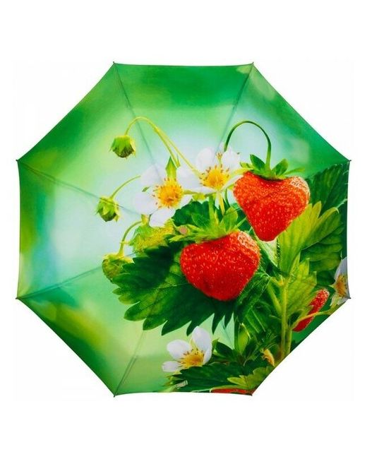 RainLab Зонт Fl-017 Strawberries