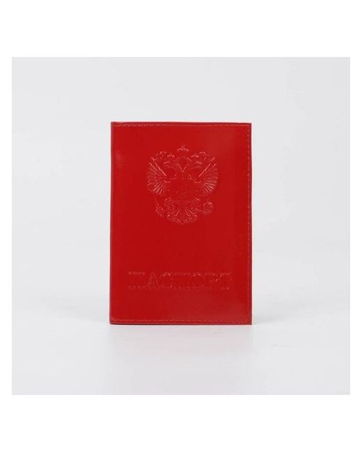 Qwen Обложка для паспорта цвет алый