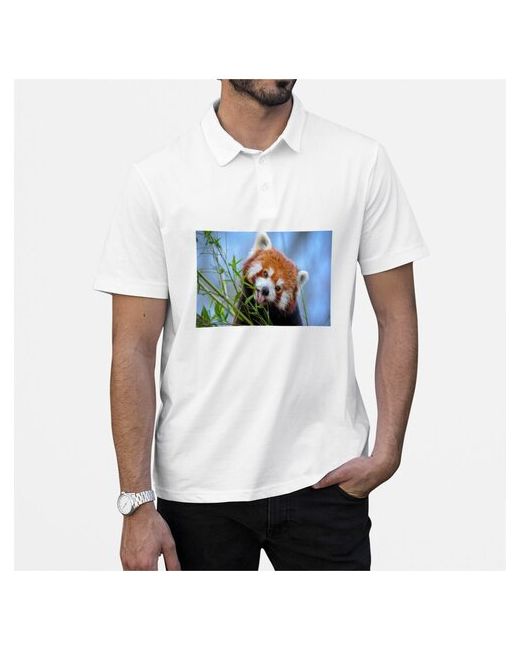 CoolPodarok Рубашка поло Маленькая панда