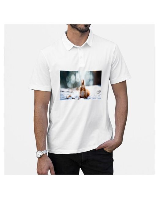 CoolPodarok Рубашка поло Белка на снежном фоне