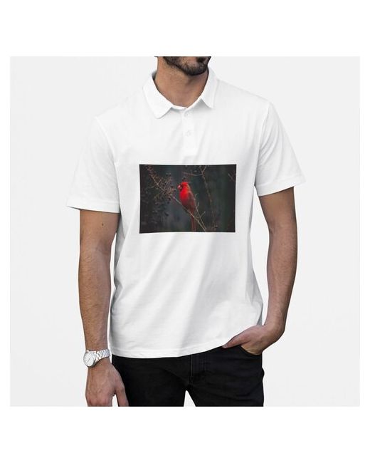 CoolPodarok Рубашка поло Красная птица на черном фоне