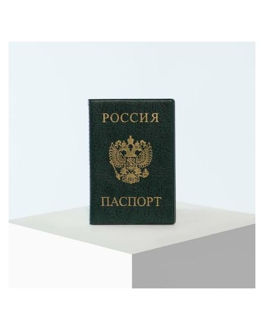 InHome2.0 Обложка для паспорта зелёный