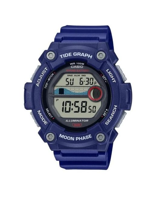 Casio Наручные часы Collection WS-1300H-2A