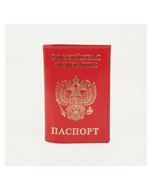 --- Обложка для паспорта тиснение глянцевый