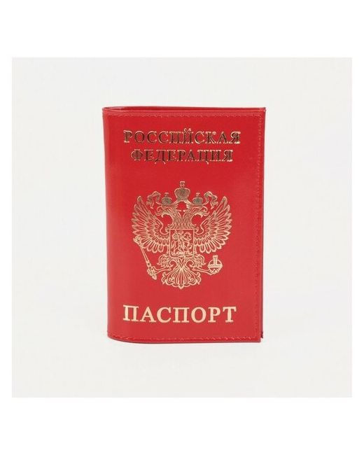 BRAND no name Обложка для паспорта тиснение глянцевый