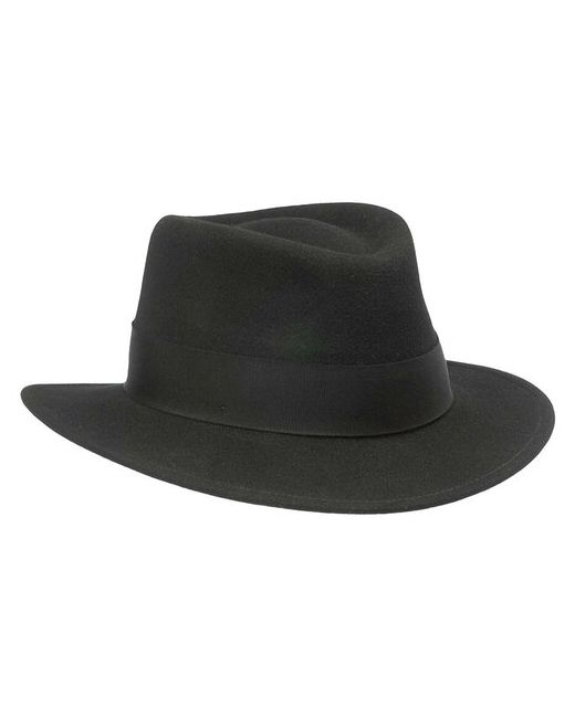 Pantropic Шляпа федора BW8SHS-T3 ROBIN размер ONE
