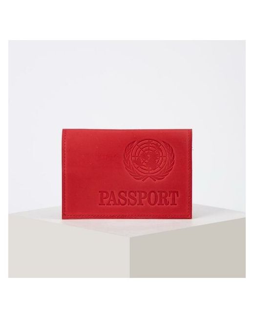 Nobrand Обложка для паспорта латинские буквы розовый