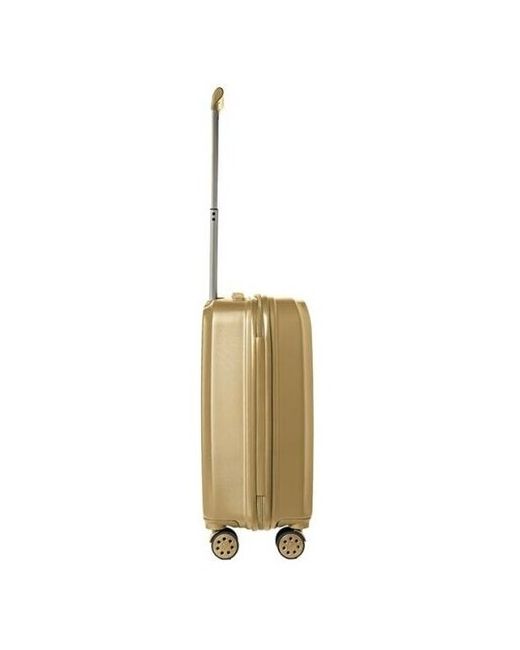 Delvento Турецкий чемодан модель Prism Bronze 59 см 35л