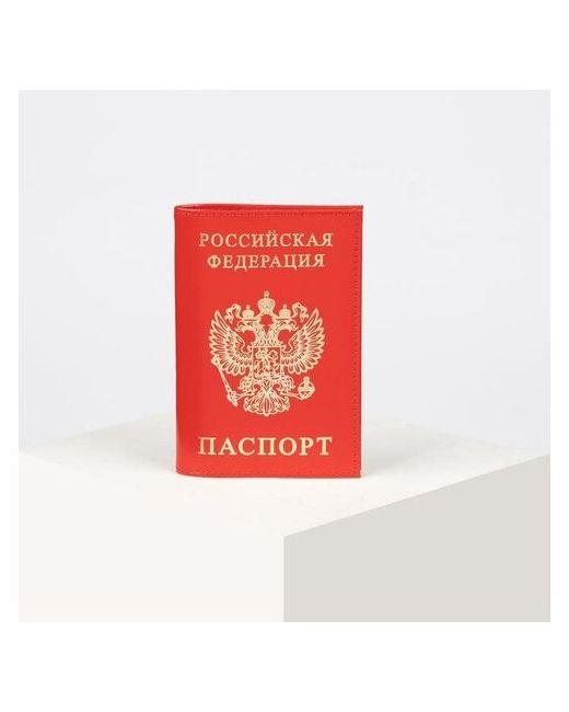 Korban Обложка для паспорта тиснение глянцевый