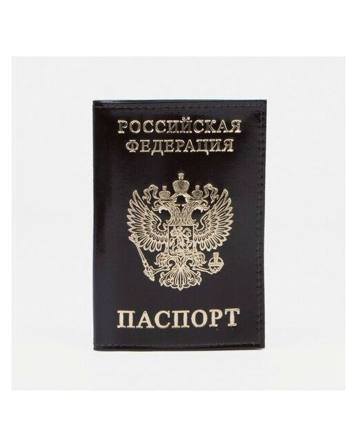 GorodOk Обложка для паспорта тиснение фольга герб гладкий