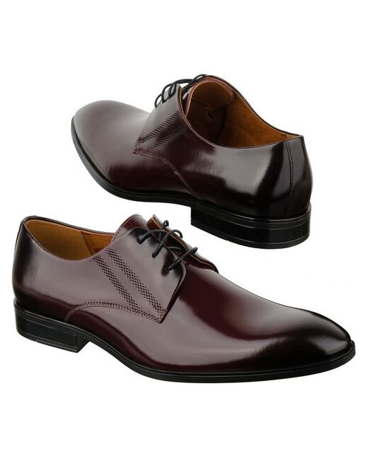 Conhpol Кожаные ботинки на шнурках C-9134-0412-M5S02
