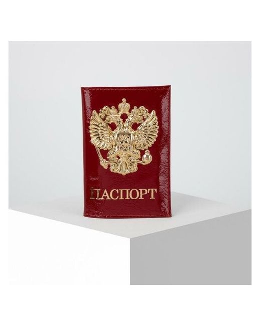 RecoM Обложка для паспорта