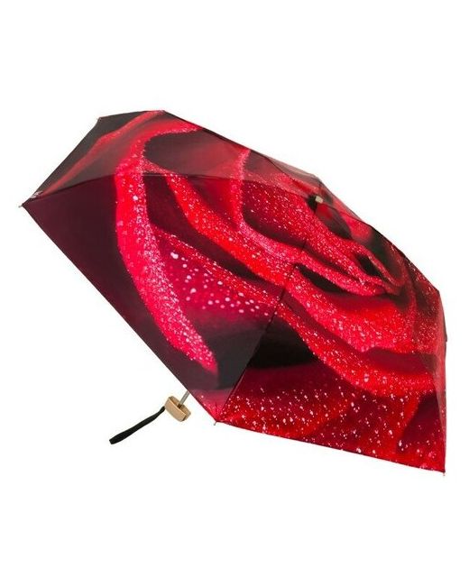 RainLab Мини зонт Розы 058MF