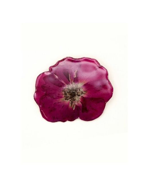 Solodstudio Брошь из эпоксидной смолы с натуральным цветком Роза