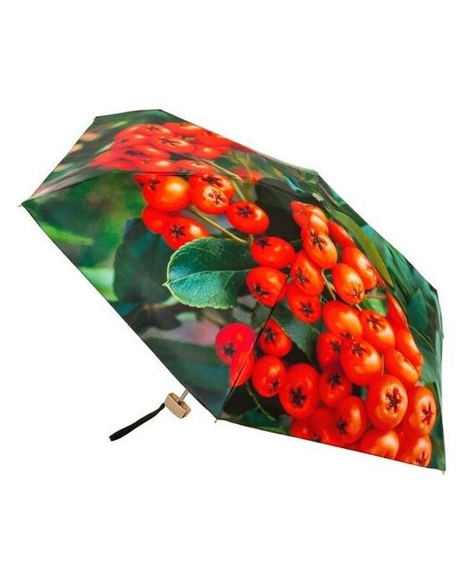 RainLab Мини зонт Рябина 006MF