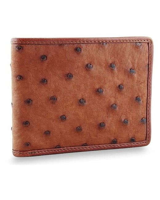 Exotic Leather Компактный кошелек из натуральной кожи с тела страуса