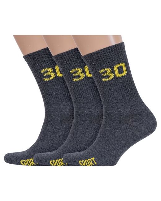 RuSocks Комплект из 3 пар мужских носков Орудьевский трикотаж темно размер 27-29 42-45
