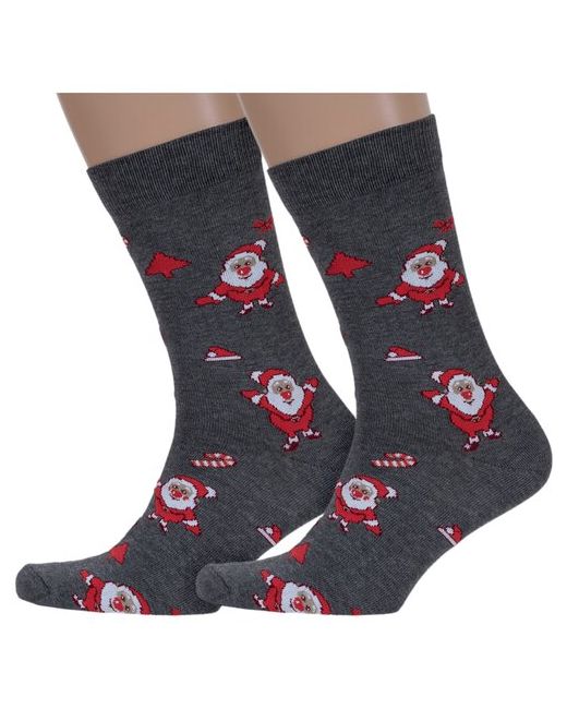 Красная Ветка Комплект из 2 пар мужских носков с-1382 размер 27