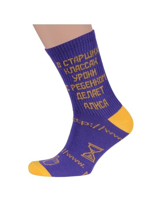 MoscowSocksClub Молодежные носки М05 баклажановые размер 27 41-43