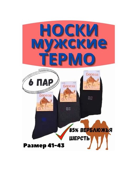 Россия Носки 6 пармахровые из верблюжей шерсти Единый р-р 41-43
