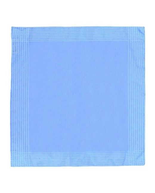 Why Not Brand Платок шейный голубого цвета с каймой 845924