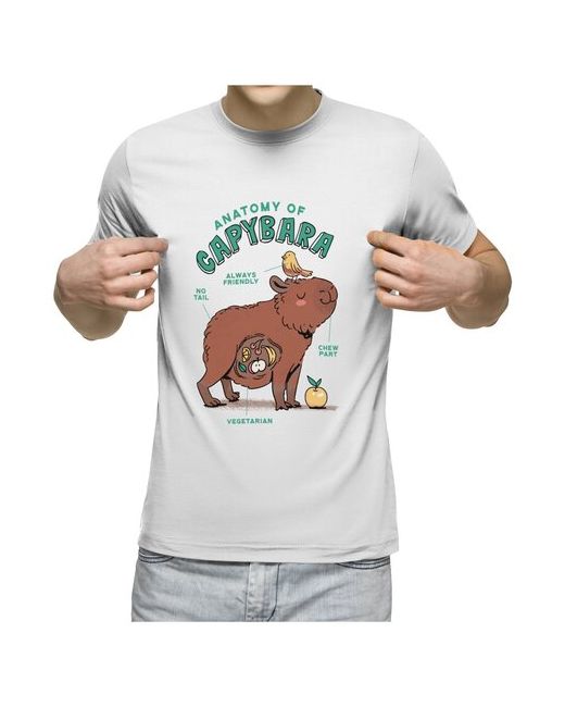 US Basic футболка Анатомия Капибары Anatomy Capybara 2XL