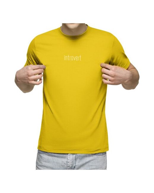 US Basic Мужская футболка introvert S