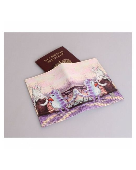 Grand Обложка для паспорта 02-006-210 Кот читает стихи на фоне Исаакия