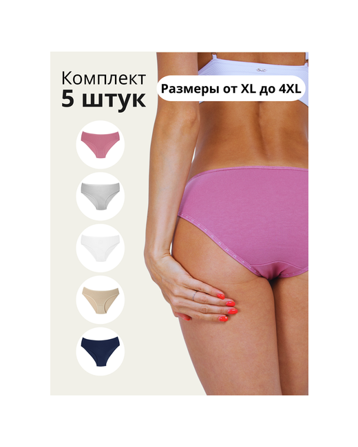 ALYA Underwear Трусы набор 5 шт слипы хлопок Турецкое нижнее белье размер 2XL