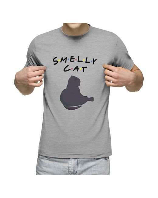 US Basic футболка драный кот S